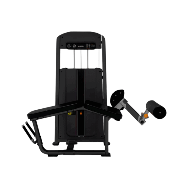 APARATO FEMORAL ACOSTADO G8