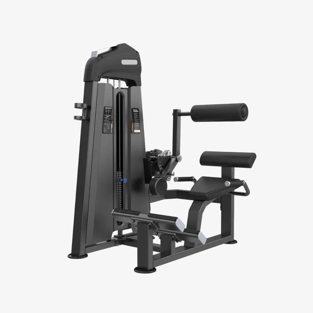 Equipo extensión de espalda con peso integrado