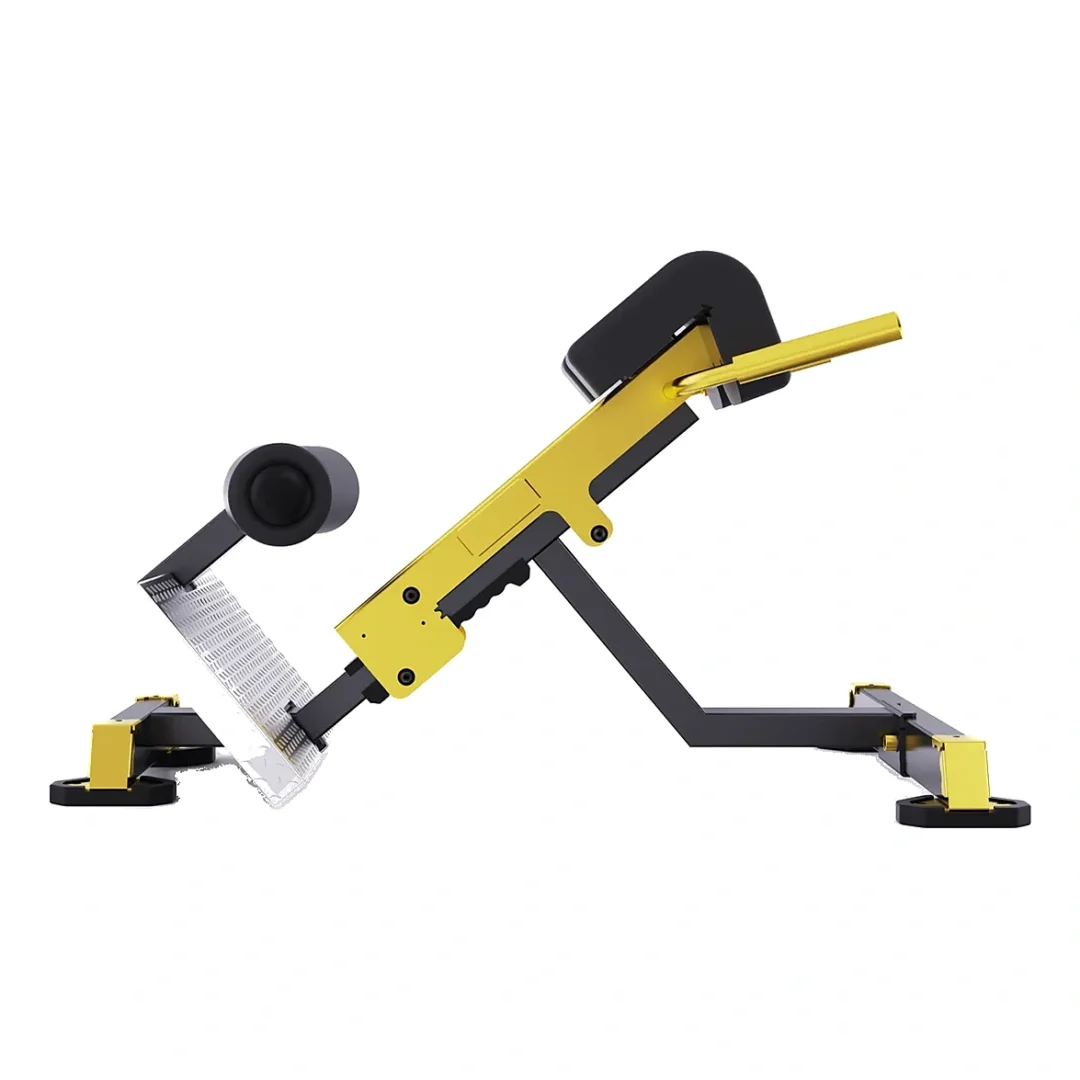 BACK EXTENSION