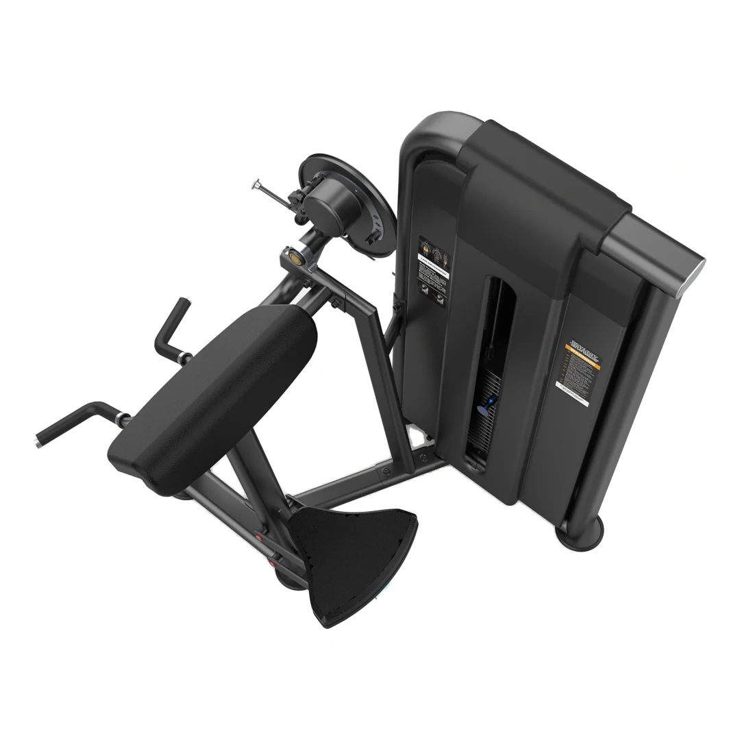 Aparato Biceps Triceps Dual ST